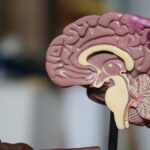 Επιστημονική και ιατρική έρευνα – συμβολική φωτογραφία