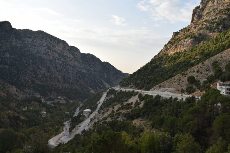 Λίβανος, φωτογραφία αρχείου