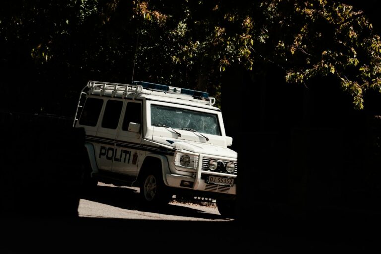 Νορβηγική αστυνομία